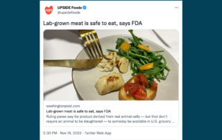 Move over, fake meat: Lab-grown meat is next