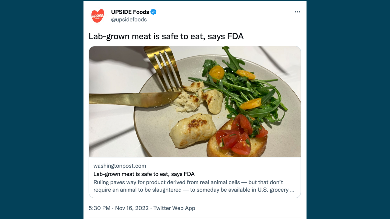 Move over, fake meat: Lab-grown meat is next