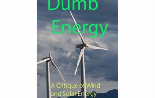 Serious Arguments For Citizen Climate Warriors: Book review of “Dumb Energy” by Norman Rogers