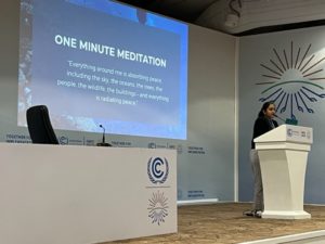 COP 27 events showcase Green spirituality, new Ten Commandments 2