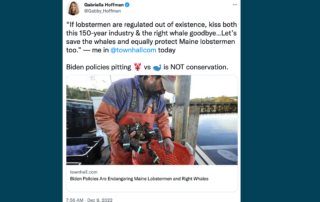 Biden policies endanger Maine lobstermen and right whales