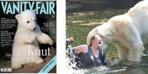 Polar bear kills Alaskan mother and baby 3