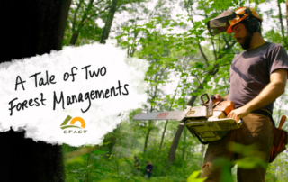 A tale of two forest managements: watch new Conservation Nation episode