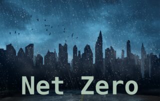 Breakthrough! A big utility says net zero may not be reliable 1