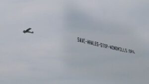 CFACT hits NJ beach with "Save the Whales" message by land and air 1