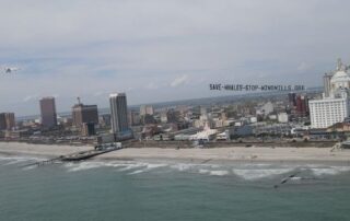 CFACT hits NJ beach with "Save the Whales" message by land and air