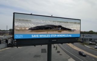 CFACT hits NJ beach with "Save the Whales" message by land and air 2