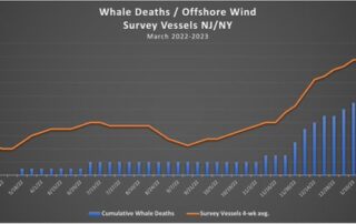 The wind / whale correlation
