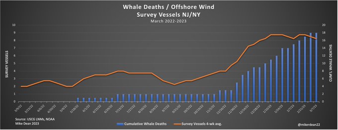 The wind / whale correlation