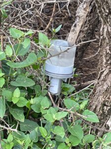 CFACT partnership effort to save Africa’s lions update