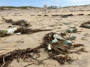 Shattered wind turbine closes Nantucket beaches feds suspend Vineyard Wind 1
