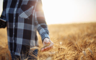Who is directing the war on agriculture and nutrition?