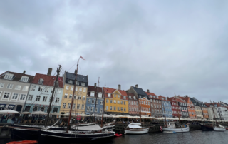 There's something rotten with Denmark's animal flatulence tax
