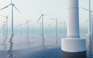 My 41 wind-threatens-whales articles track federal deception
