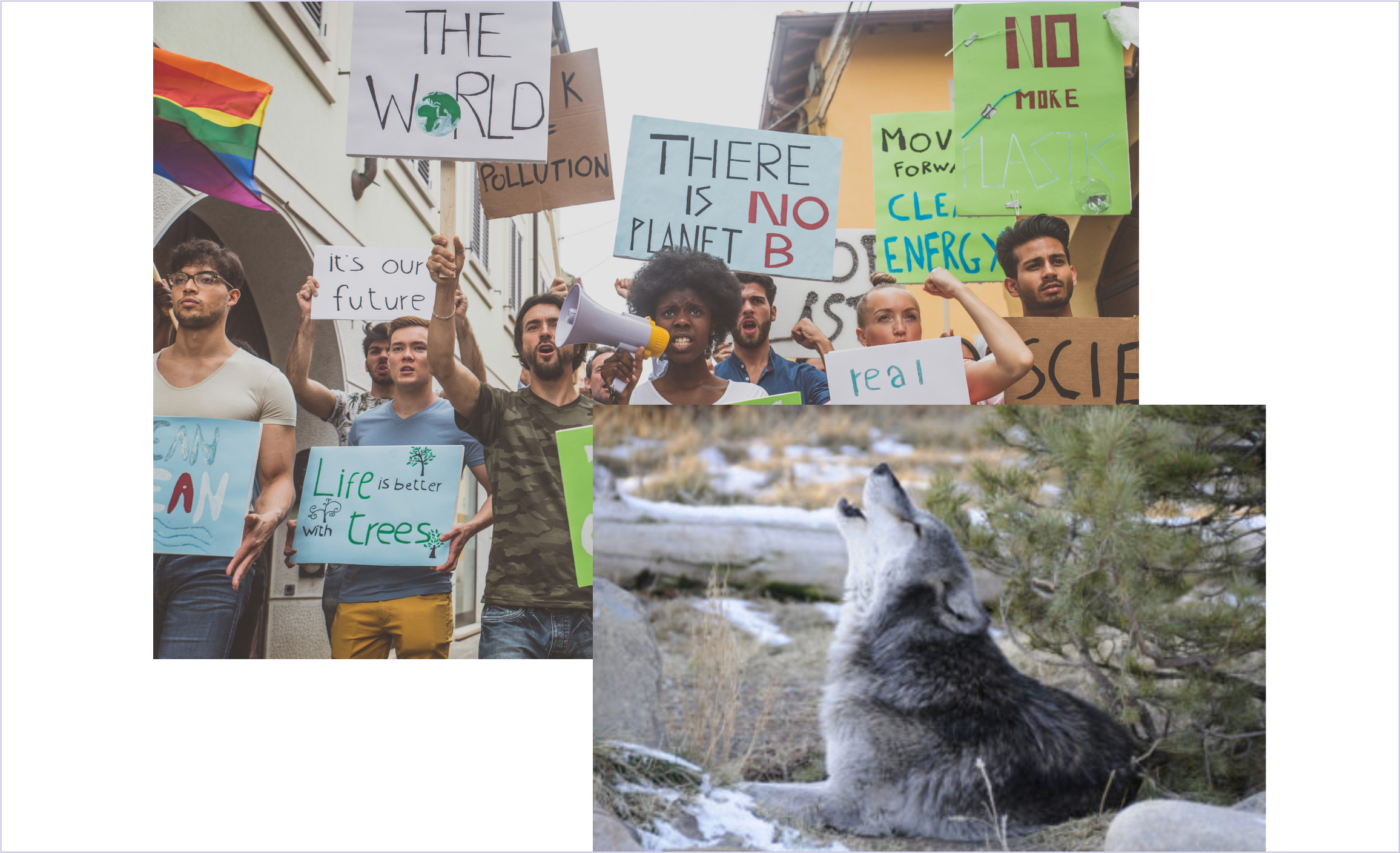 CFACT tells the Feds to reform the Endangered Species Act