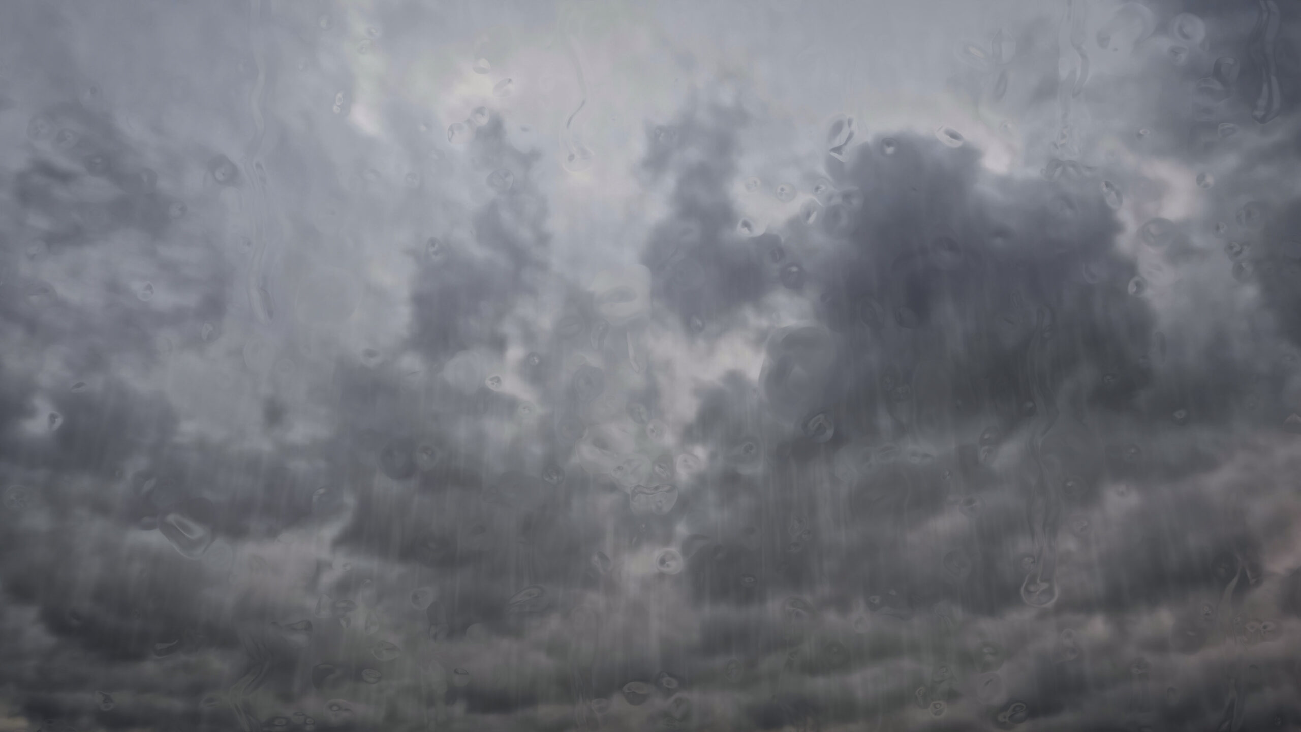 A dissection of a busted forecast for the southern plains summer