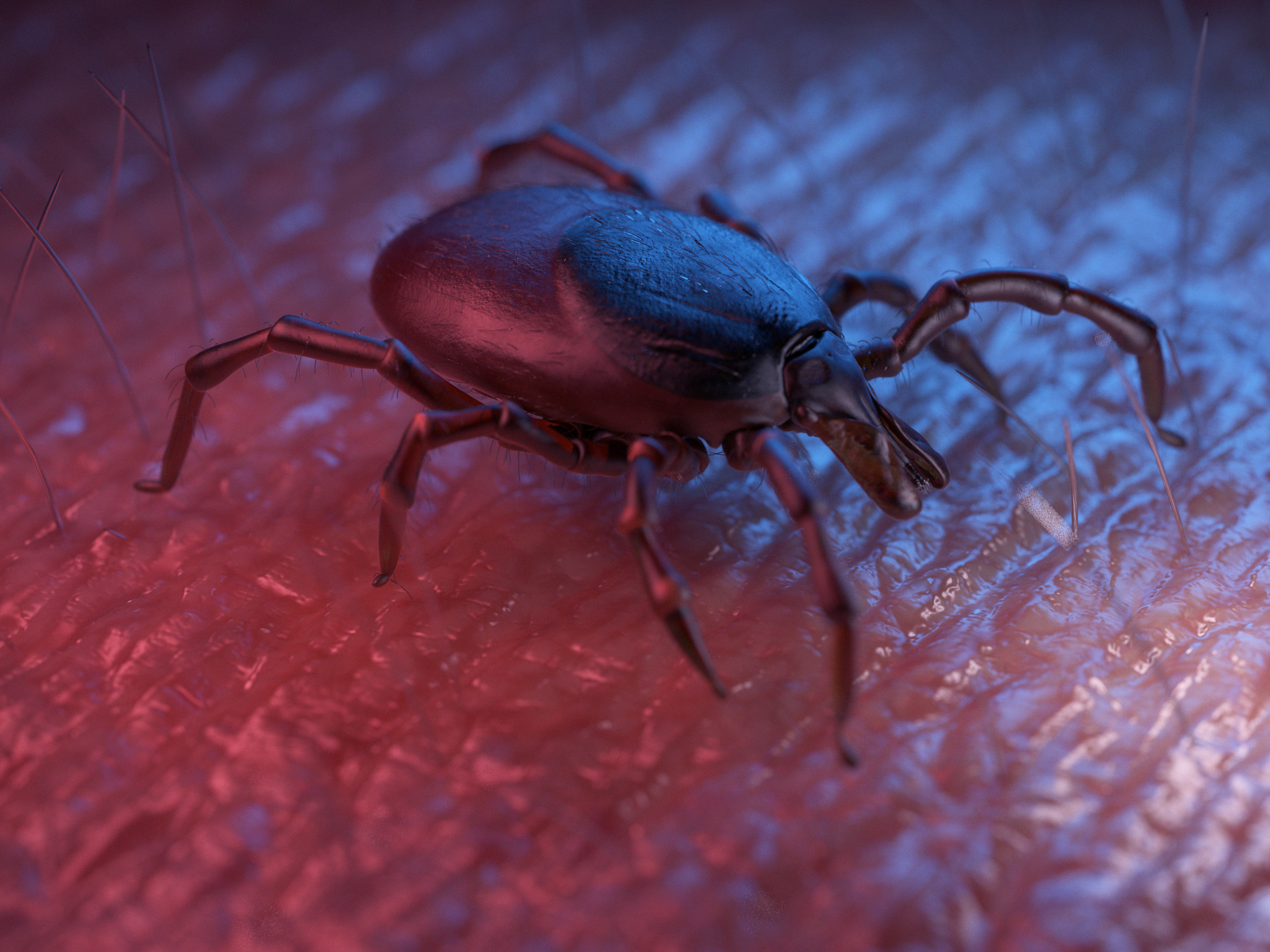 Weaponizing ticks: Academics propose meat allergy to fight climate change