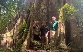 Jungle fever: Dispatches from COP 30's woke wilderness