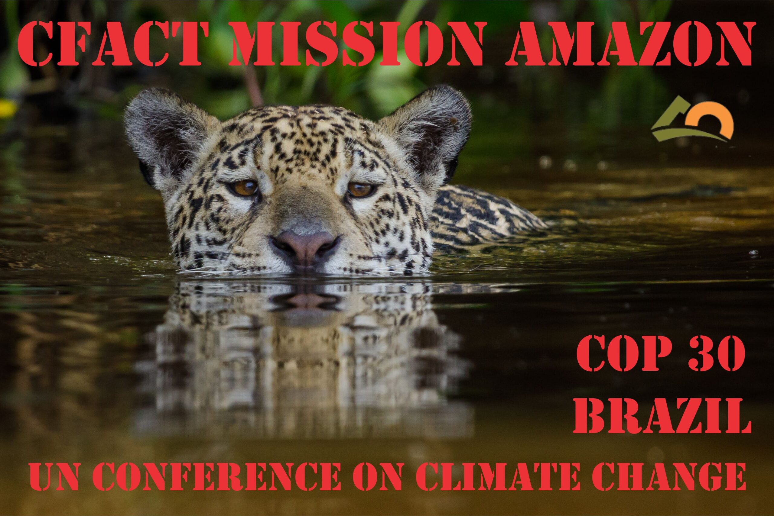 RELEASE: CFACT team of skeptics headed to UN climate conference