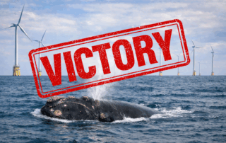 Win for CFACT as Trump halts all significant offshore wind projects 1