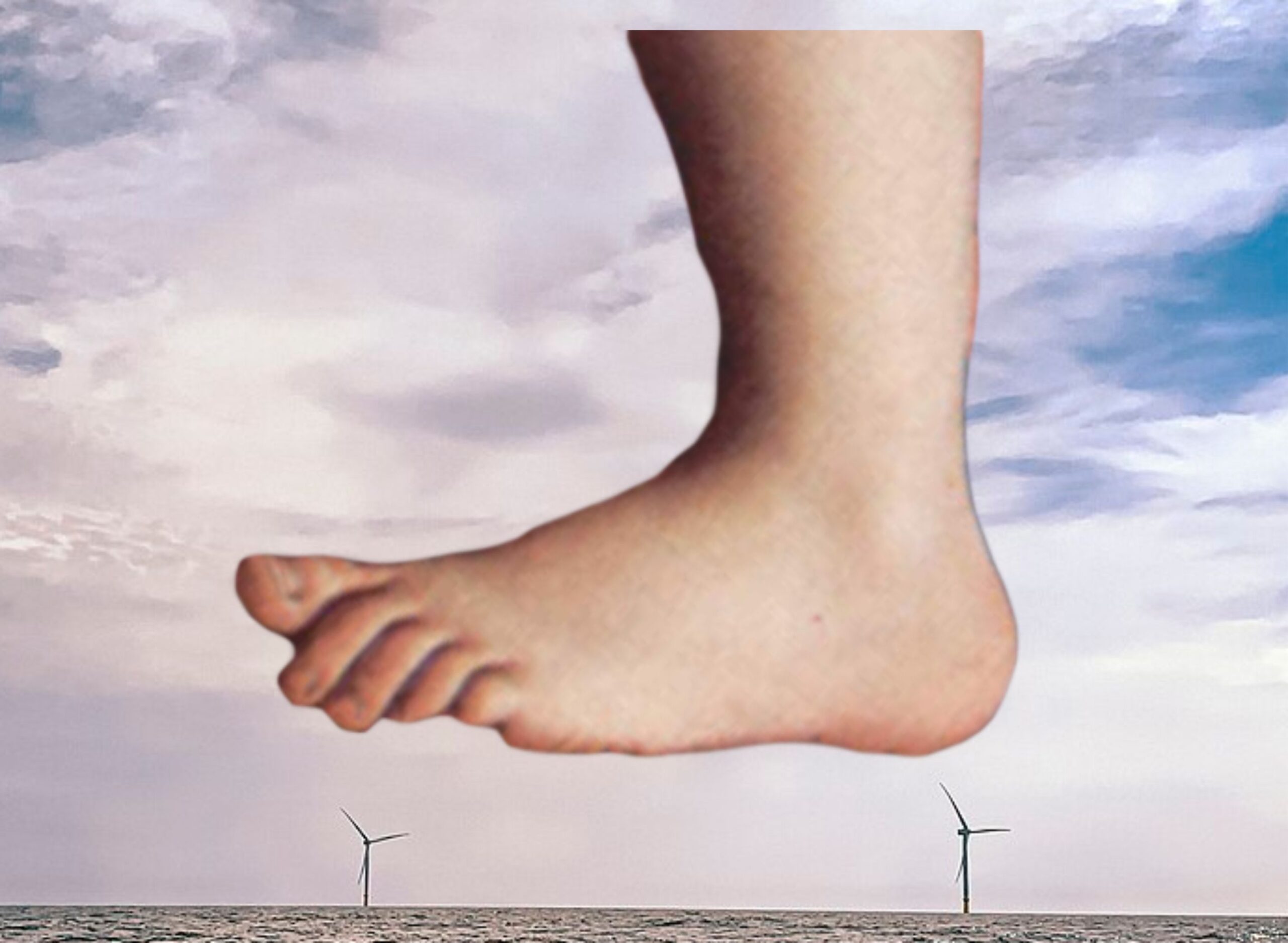 Statement of CFACT President Craig Rucker on Trump's halt to offshore wind