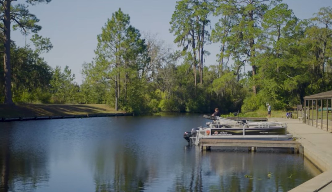 Save Okefenokee swamp from UNESCO