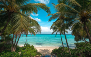 2025 global tropical cyclone season debunks climate hysteria