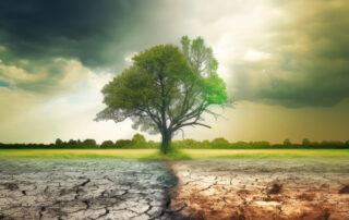 UT Knoxville students reconsider climate claims on camera 1