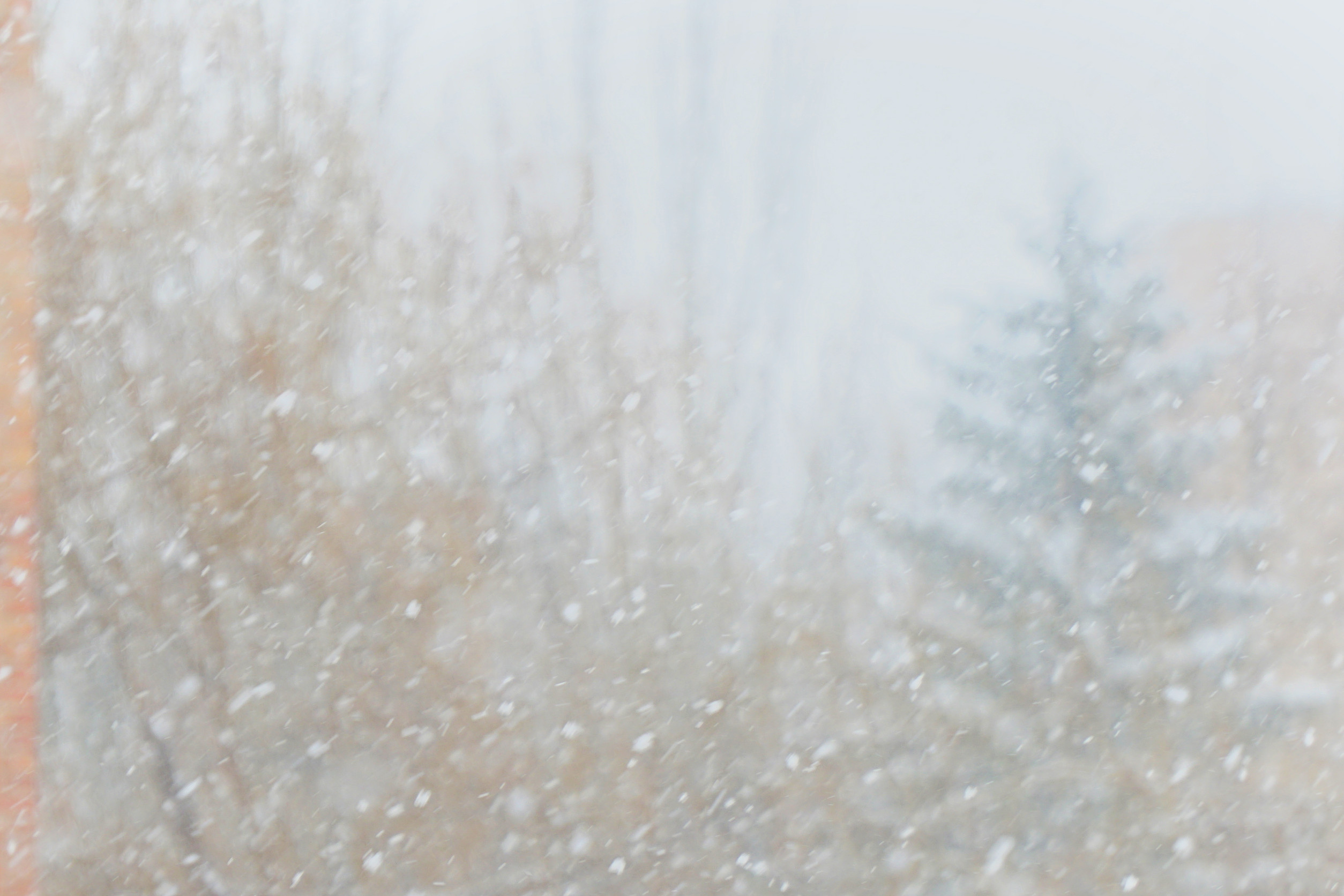 A blizzard of climate delusion and deceit