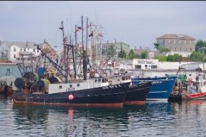 Good news for our fishing fleet