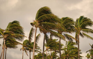 El Niño weather aspects: Summer, the hurricane season and next winter