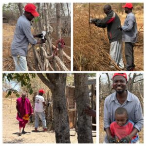 Update: CFACT partnership expands lion conservation efforts in Tanzania