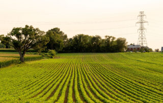 Activist and trial lawyer attacks on herbicides imperil US and global health and nutrition 1