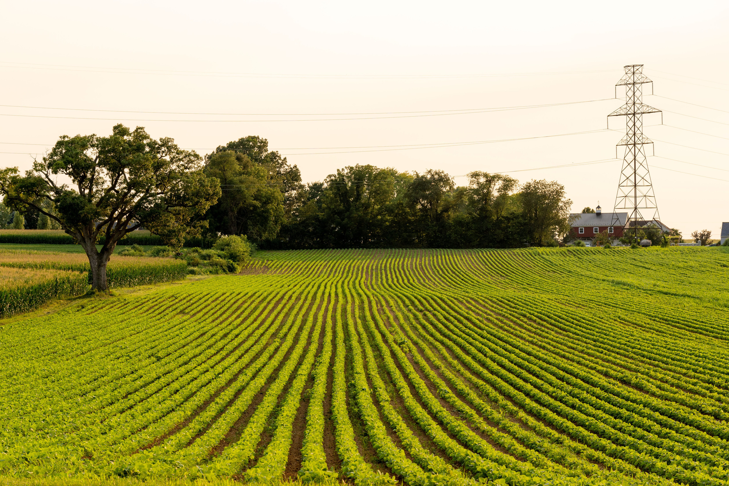 Activist and trial lawyer attacks on herbicides imperil US and global health and nutrition 1