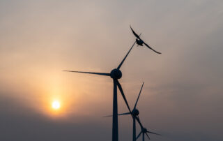 Inconvenient wind turbine facts