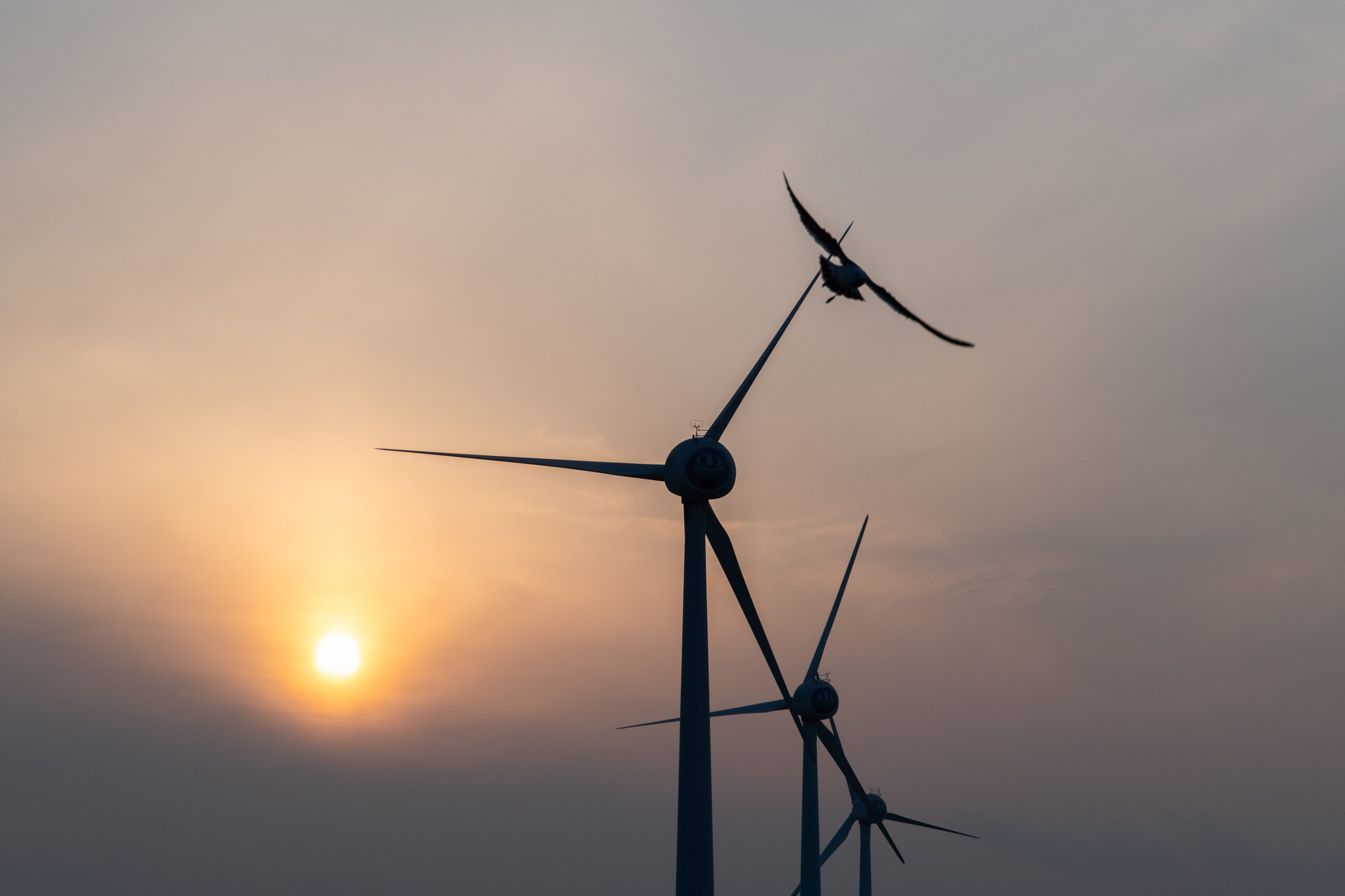 Inconvenient wind turbine facts