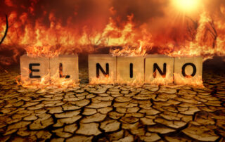 Who's afraid of the big bad El Niño wolf?
