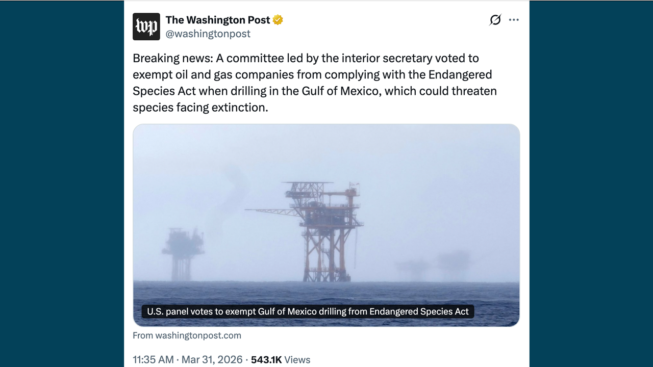 California drillin' & Endangered Species Committee (God Squad) waives ESA for Gulf of America