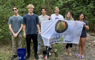 Tree-mendous Environmental Stewardship at UF