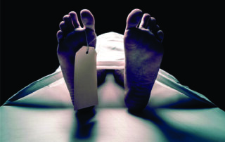 Morano on tv: You can get A/C in Europe — but only after death! 1