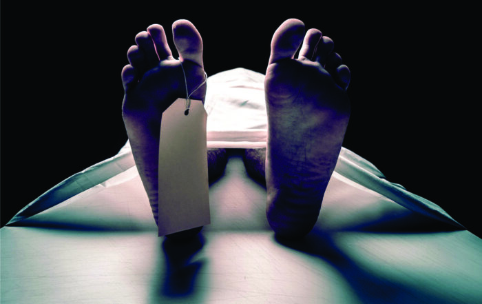 Morano on tv: You can get A/C in Europe — but only after death! 1