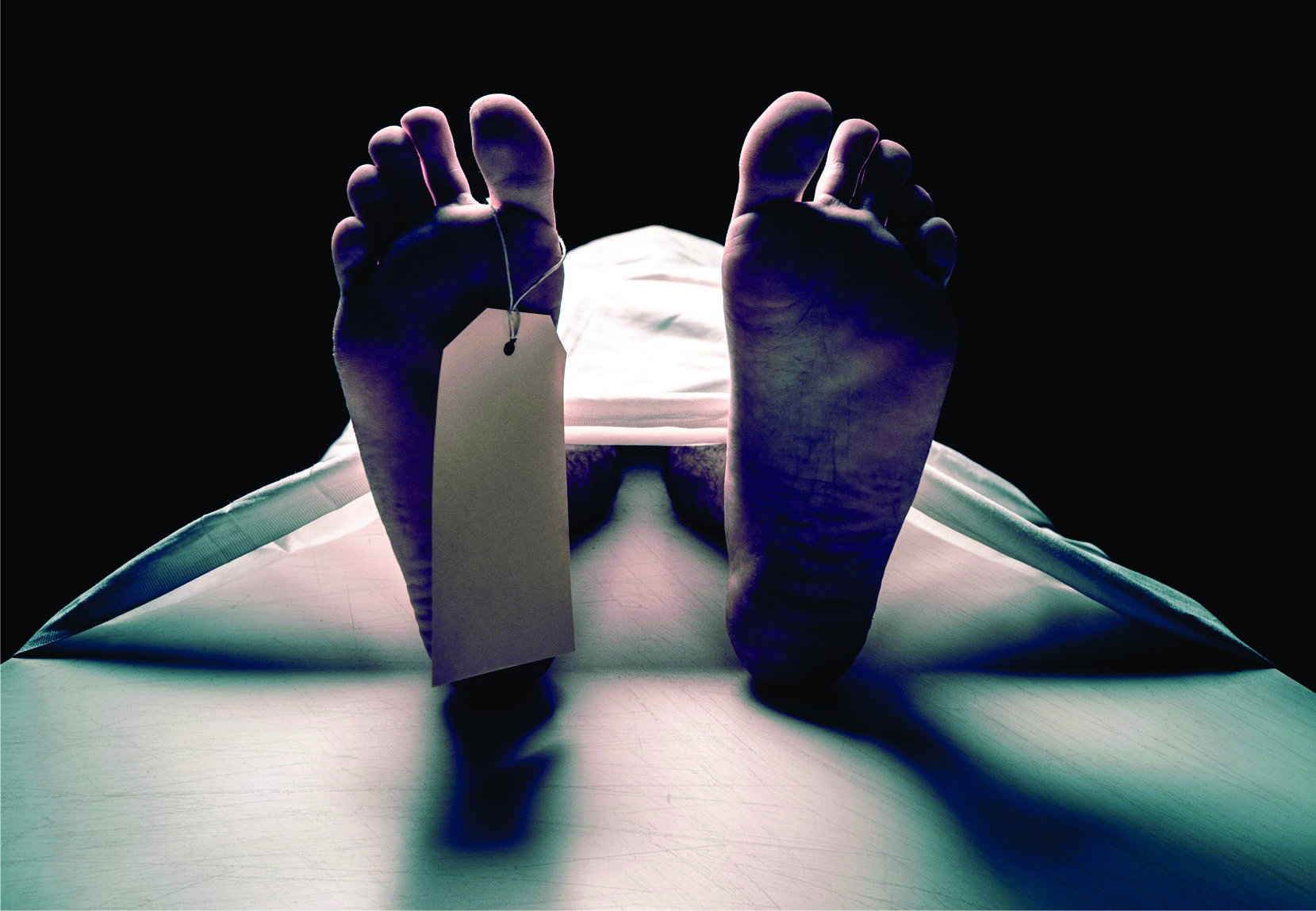 Morano on tv: You can get A/C in Europe — but only after death! 1