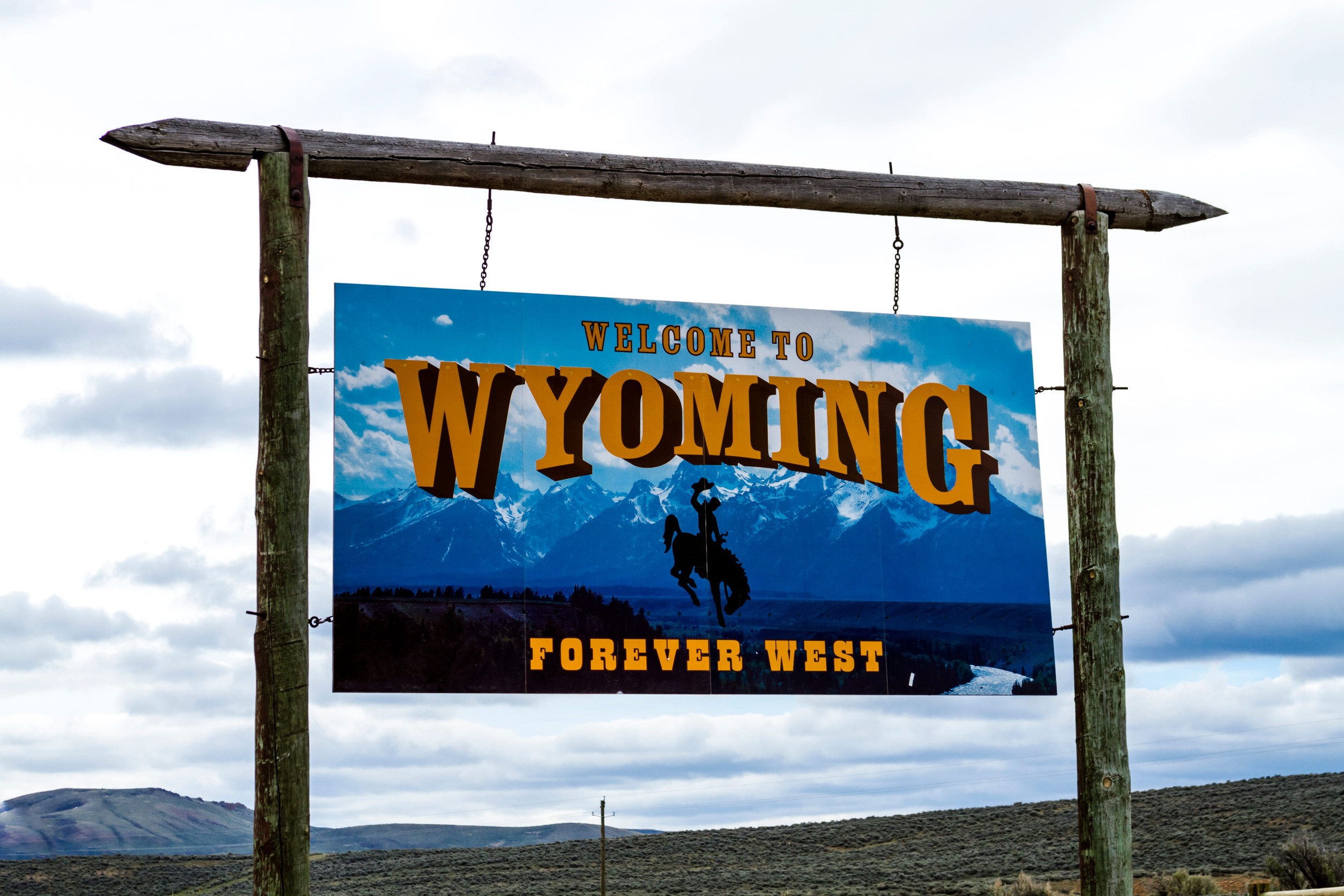 Comments on Golden Eagle errors in Wyoming's Wildlife Action Plan