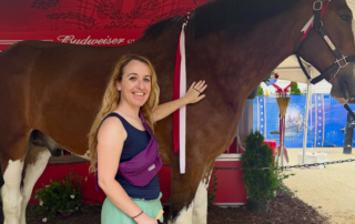 Great American State Fair & America250 on Public Lands
