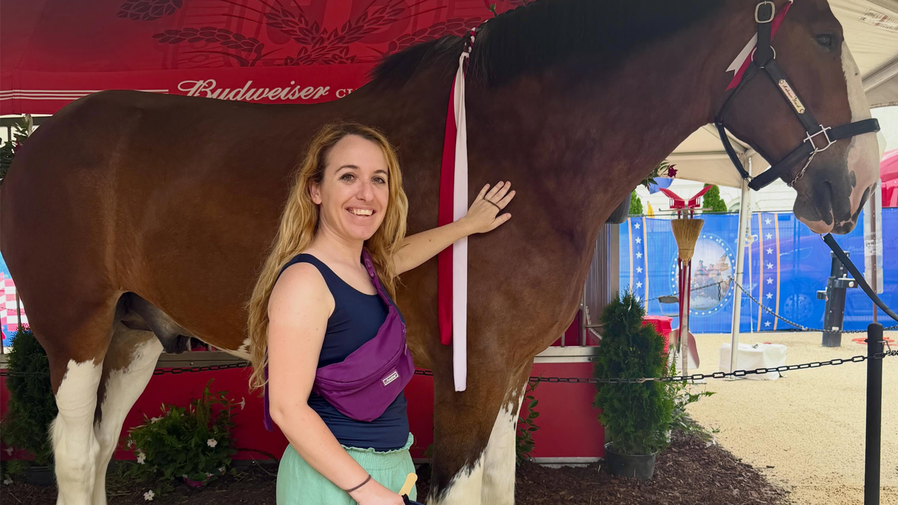 Great American State Fair & America250 on Public Lands