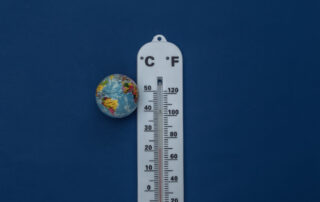 A global forecasters perspective on global temperature