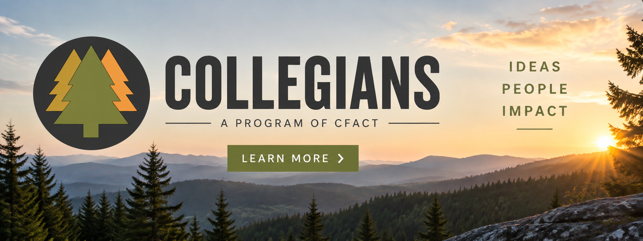 Collegianswebpagebanner