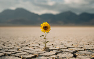 The El Nino is but a Band-Aid on the western drought