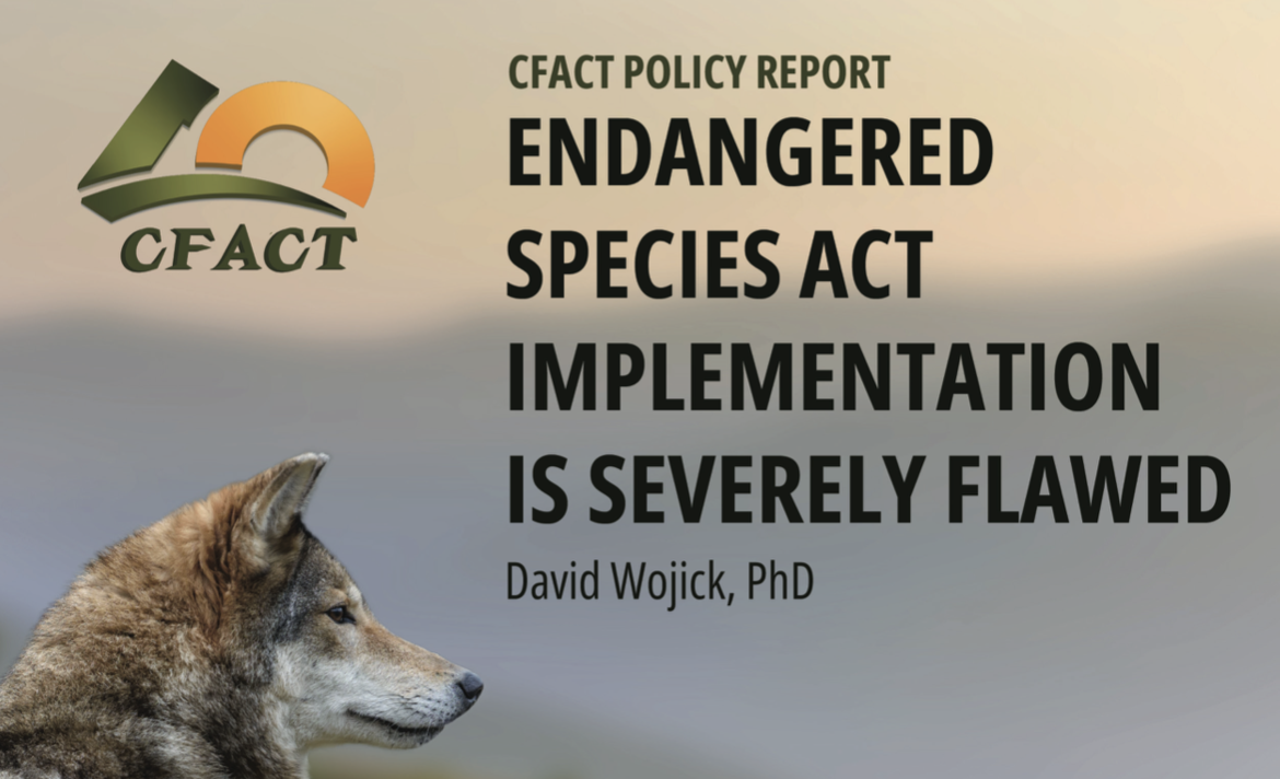 New CFACT Report: ESA Implementation Is Severely Flawed