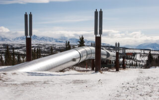 The new Alaska gold rush